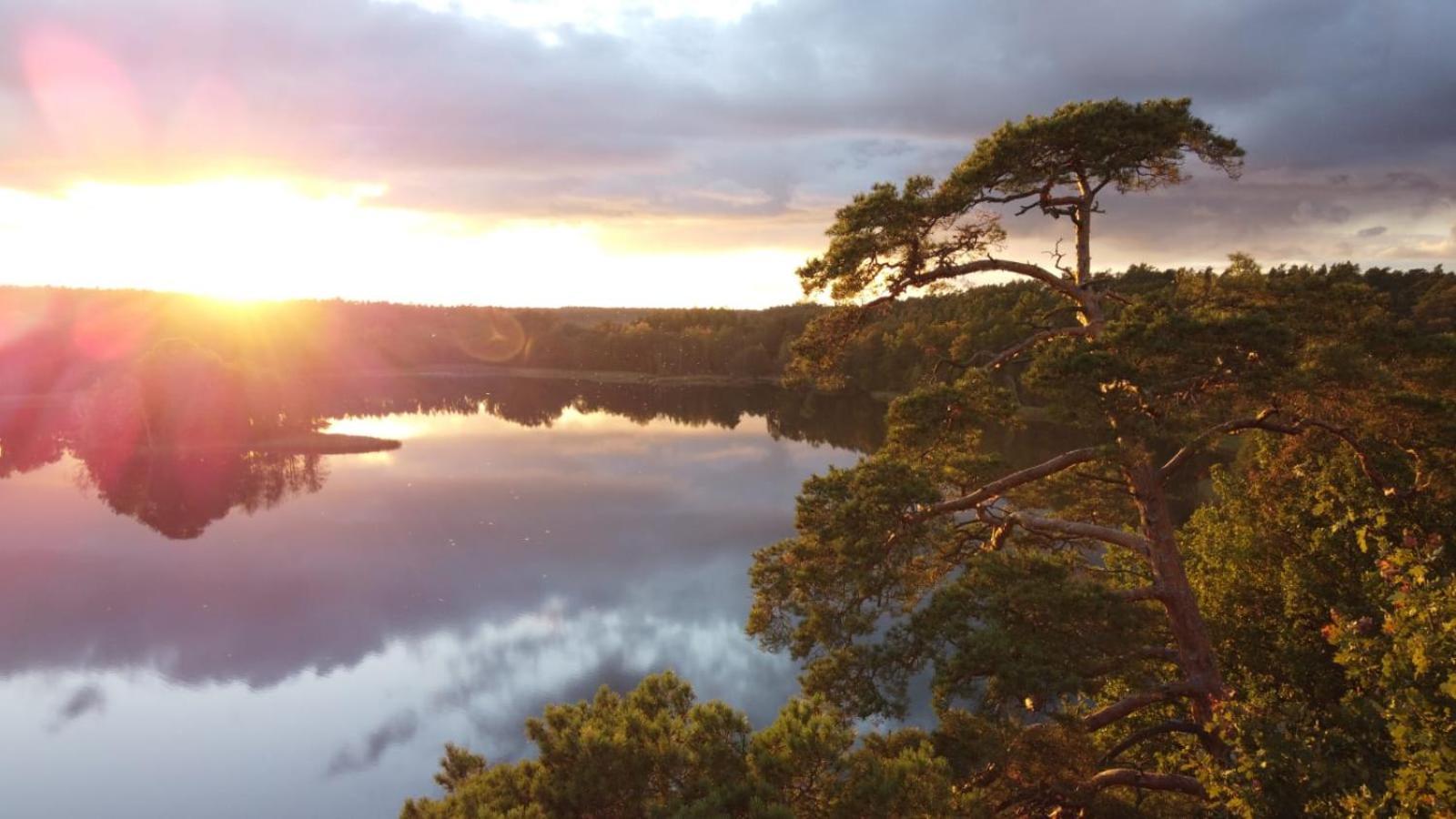 Ryteblota Resort & Spa Zbiczno 외부 사진